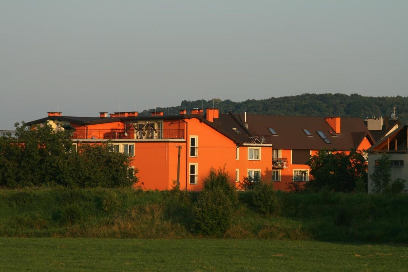 Daisy Superior-Poland-KRAKOW-General view-10