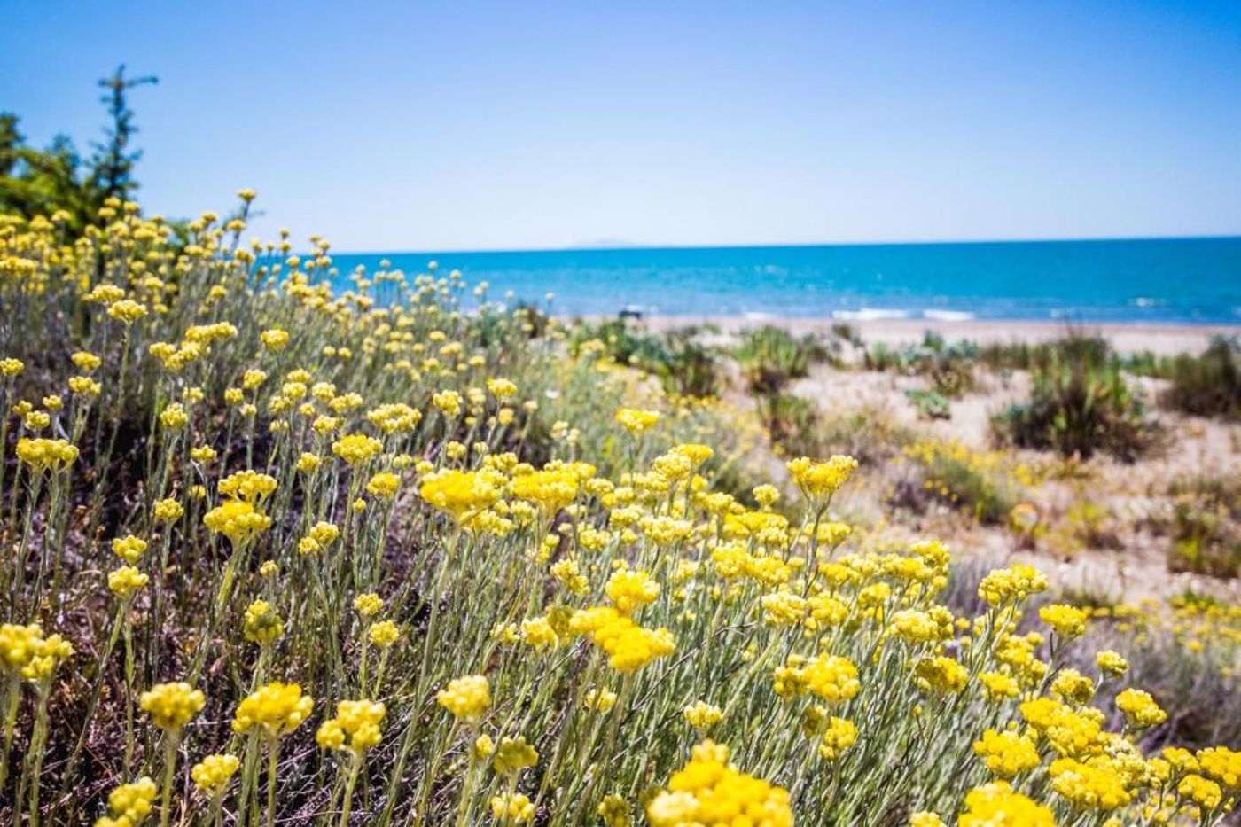 La-Canova-II-Beach-34