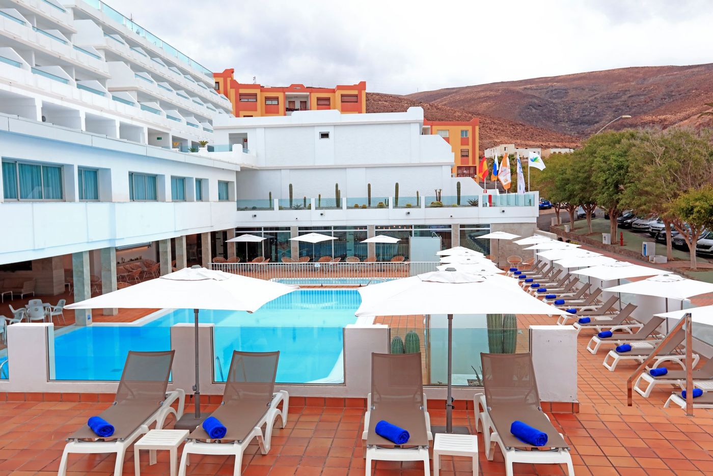 Lemon & Soul Cactus Garden