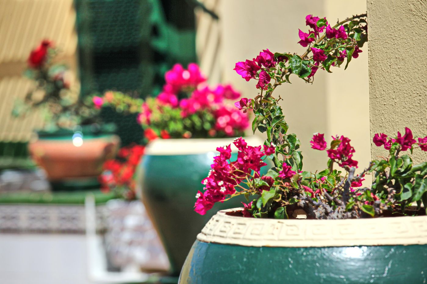 Bungalows-Barranco-Terrace-22