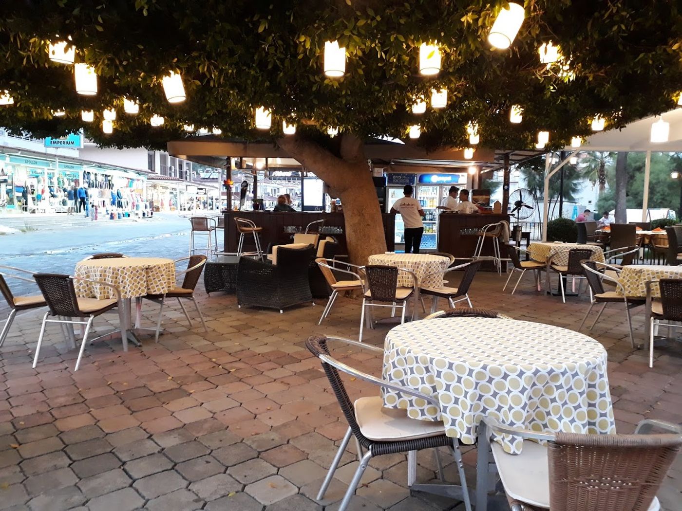 Dolphin-Apart-Restaurant-8