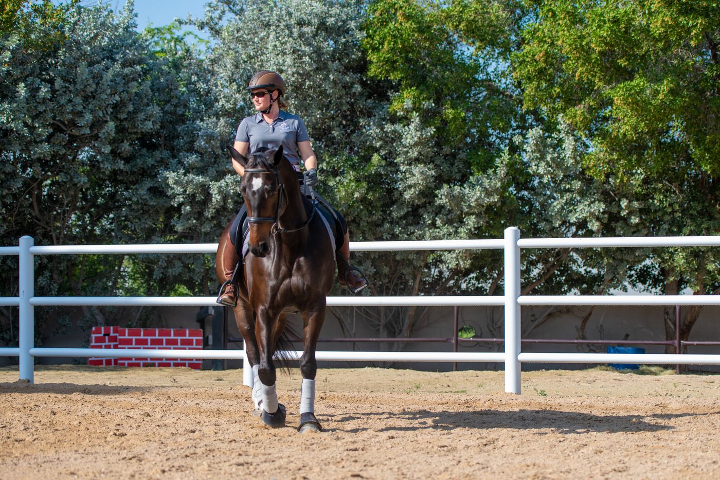 JA-Palm-Tree-Court-Sports-and-Entertainment-58