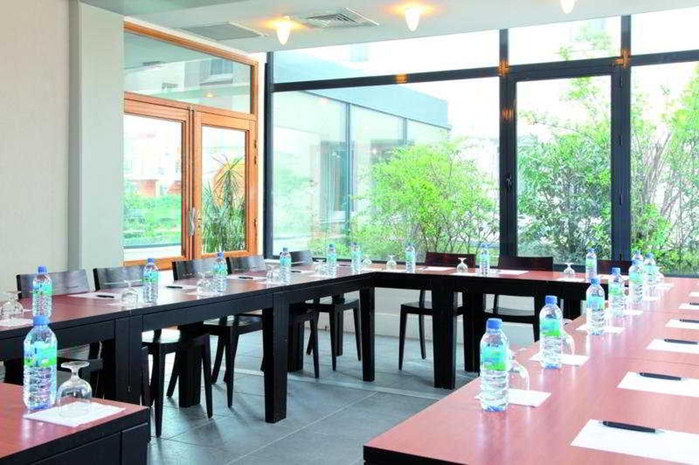 Park & Suites Elegance Grenoble-France-GRENOBLE-Conferences-9