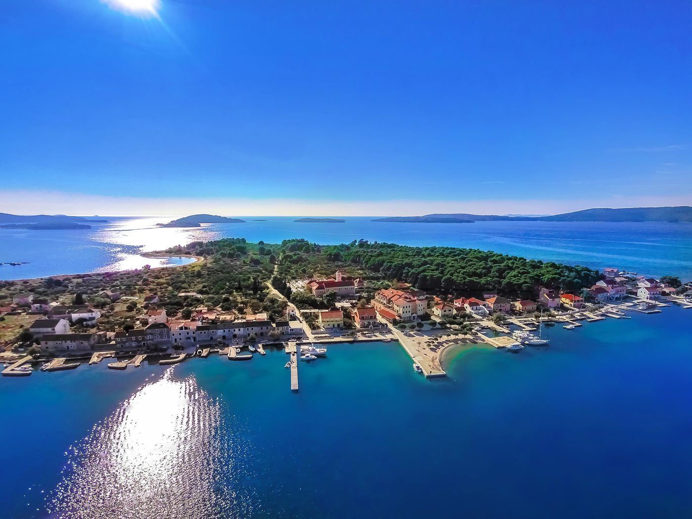 Spongiola-General-view-69