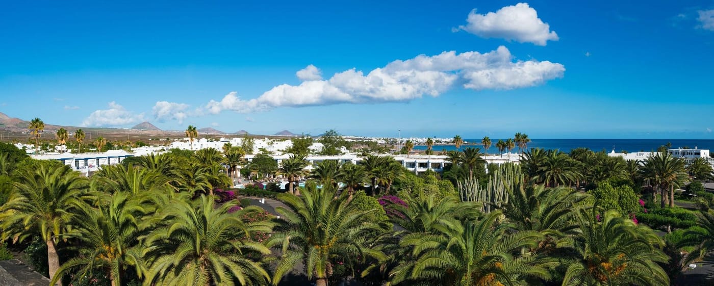 Relaxia-Olivina-Terrace-17