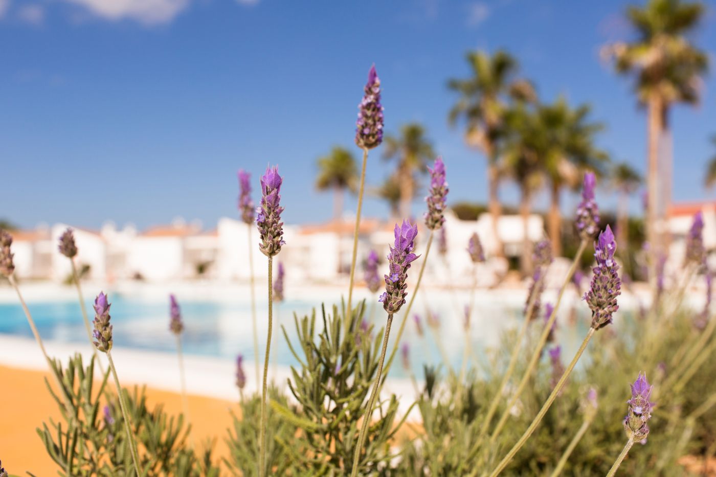 Menorcamar-Apartments---Adults-Only-General-view-19