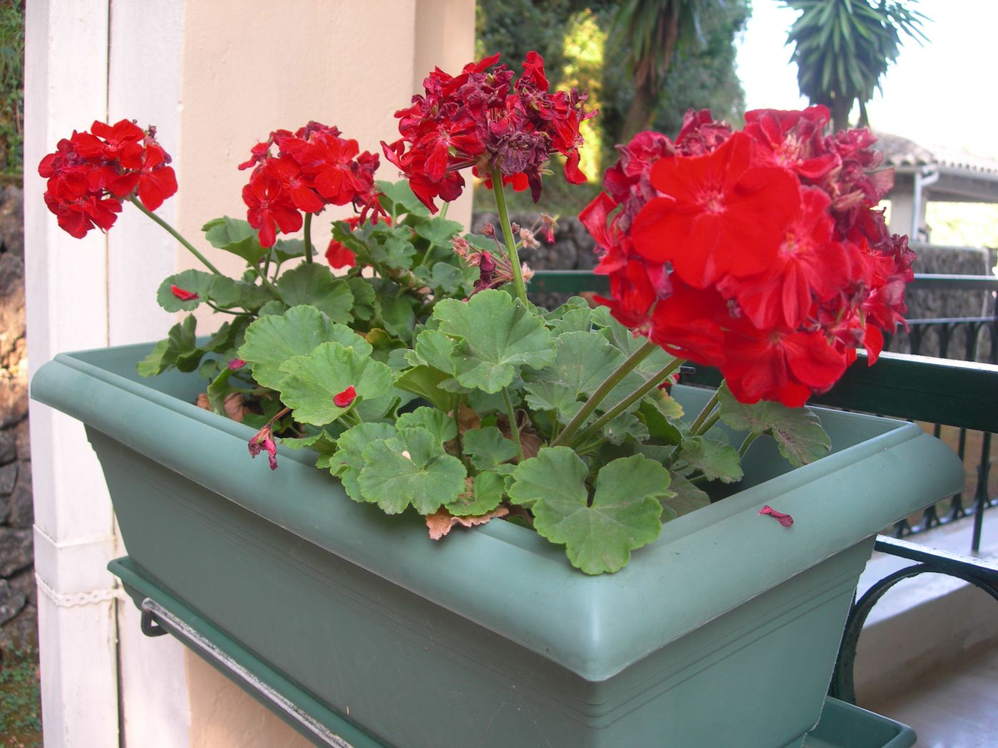 Villa-Karmar-Lobby-22