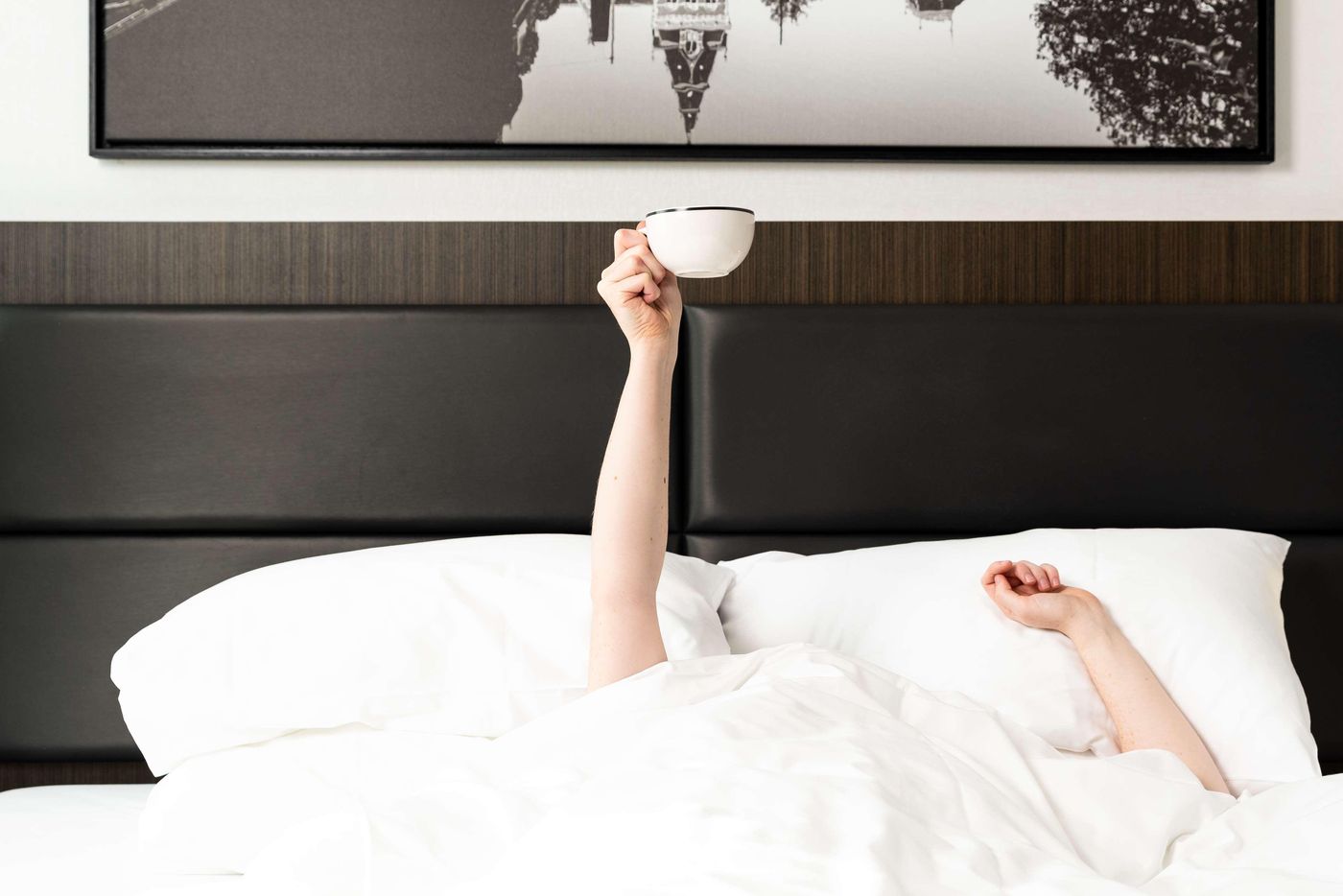 Radisson-Hotel---Suites-Amsterdam-South-Room-51