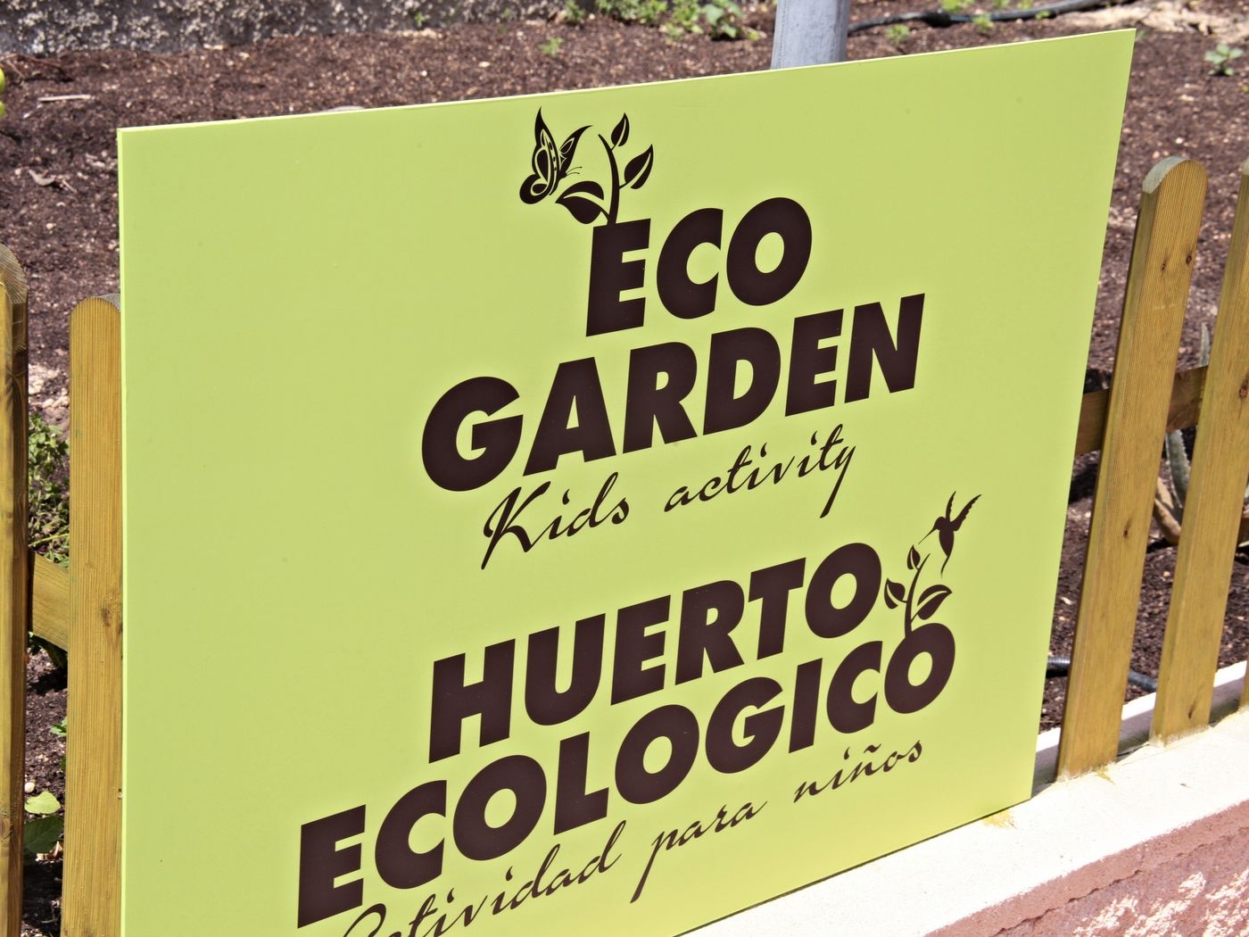 Sandos-Benidorm-Suites-Terrace-8