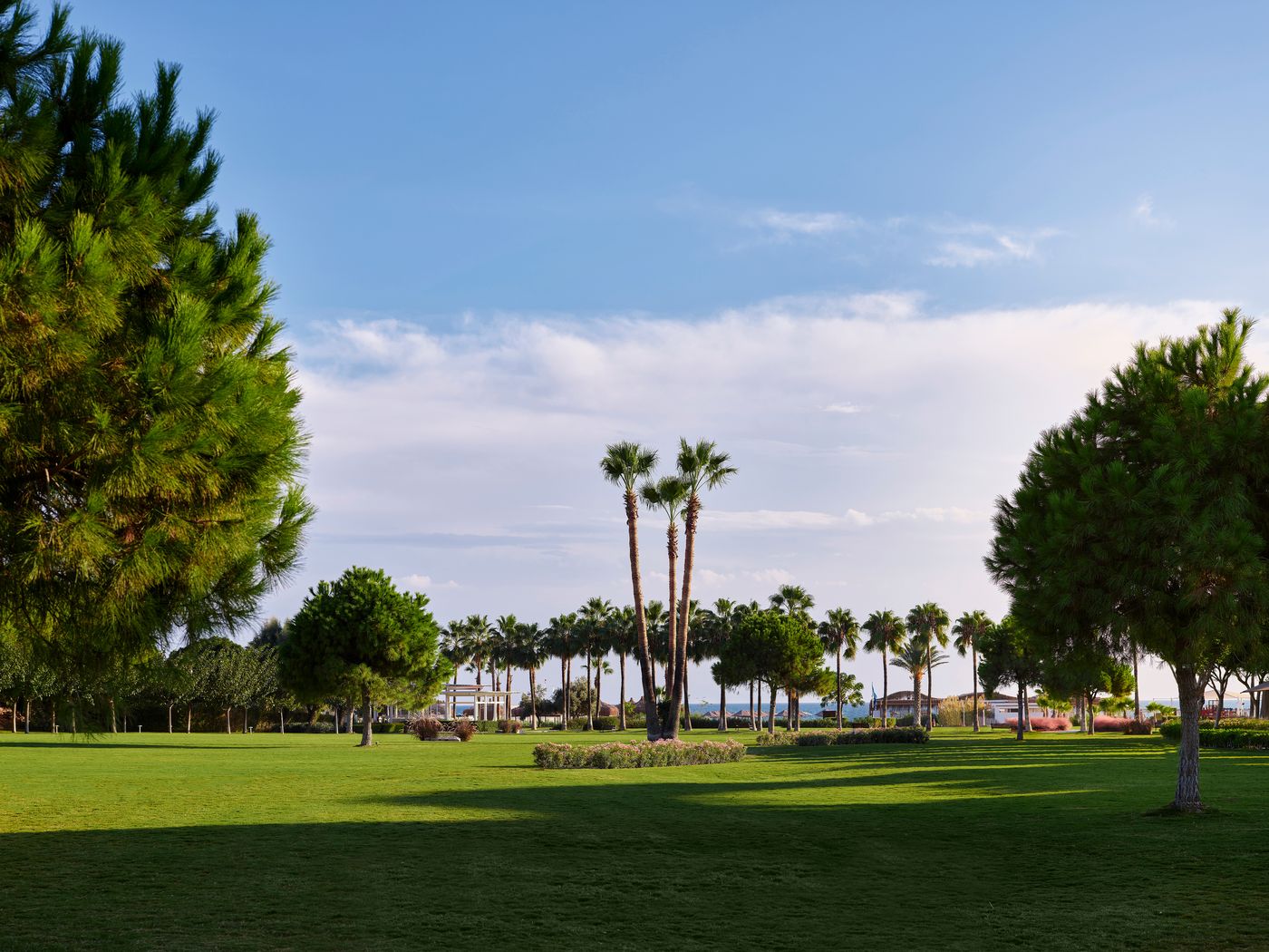 Lara-Barut-Collection-General-view-98