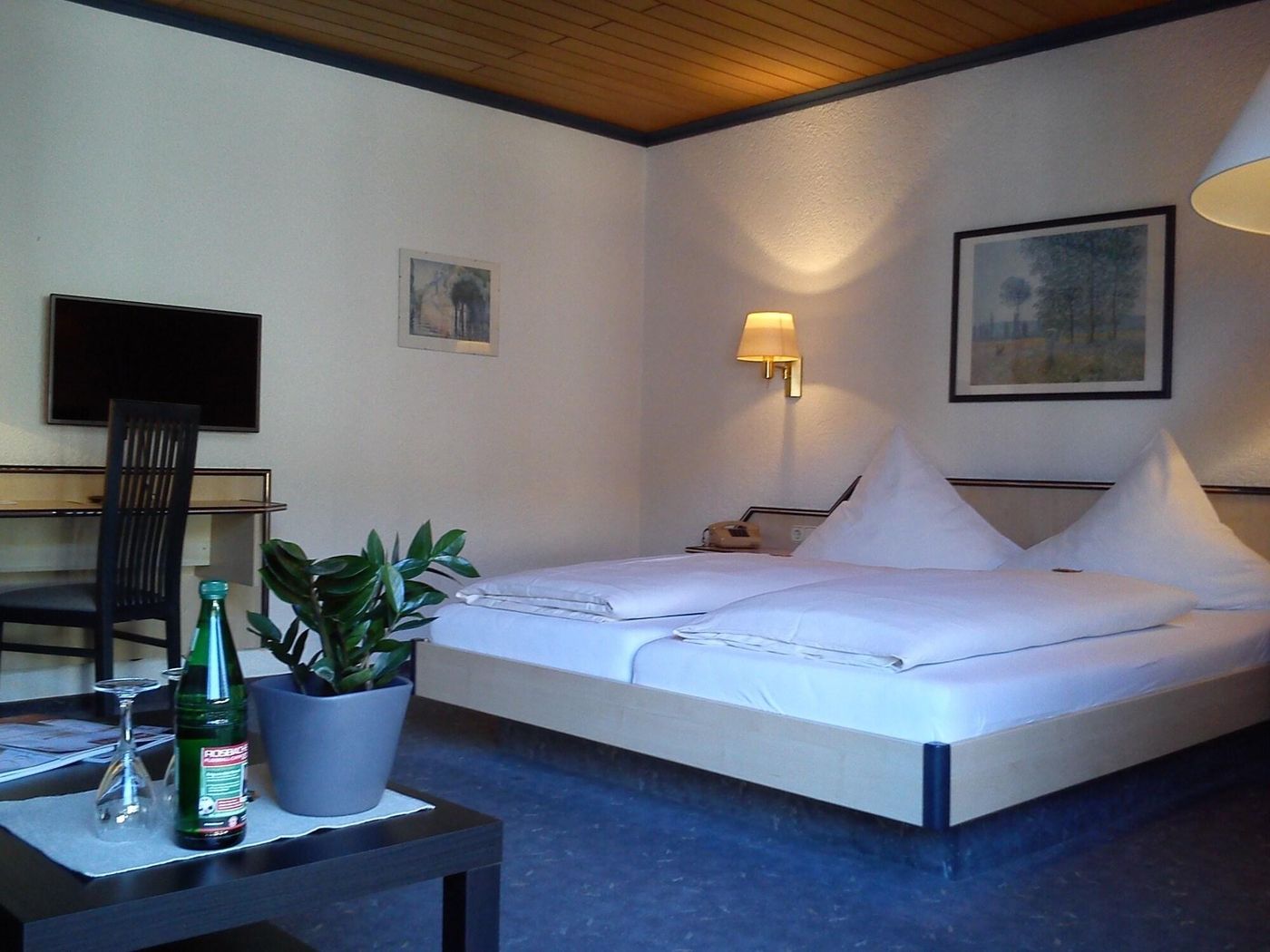 Hotel Burg Breuberg - Germany - HOECHST IM ODENWALD - Room - 1