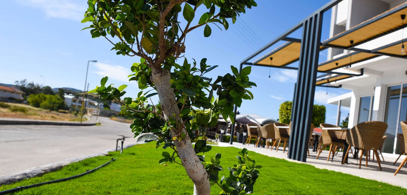 Tsampika-Hotel---Studios-Terrace-19