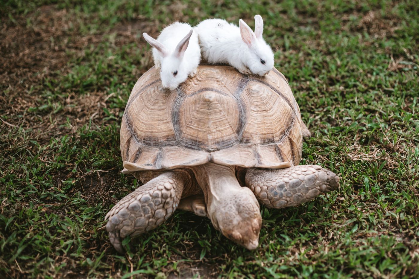 Thavorn-Palm-Beach-Resort-General-view-97