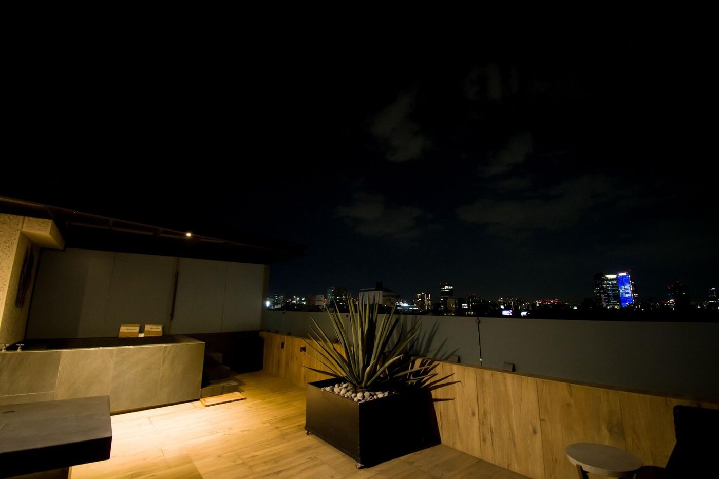 Kali Escandon-Mexico-MIGUEL HIDALGO, CDMX-General view-10