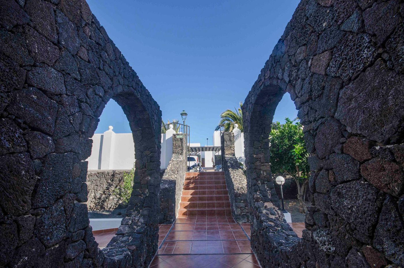 Tabaiba-Center-General-view-5