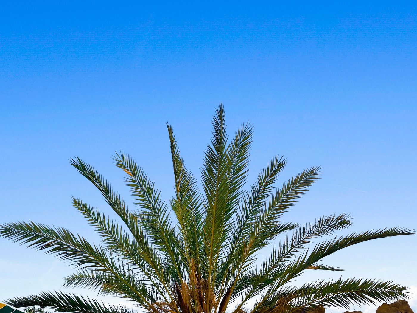 Parque Raquel Bungalows