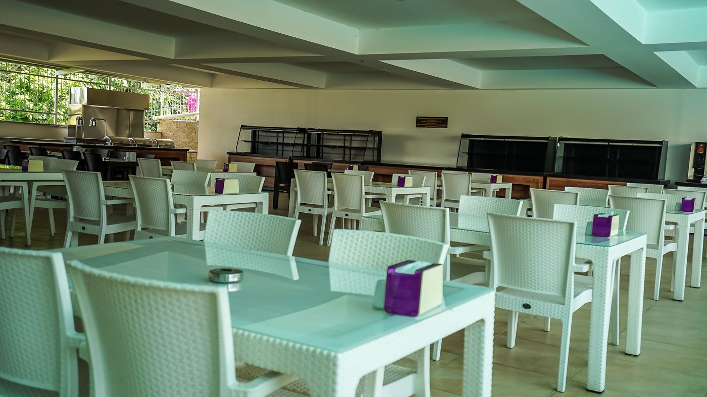 Catty Cats Garden Hotel