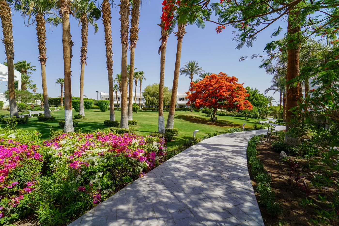 Monte Carlo Sharm El Sheikh