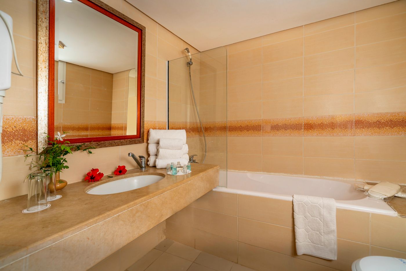Hammamet Hotel & Spa 2310