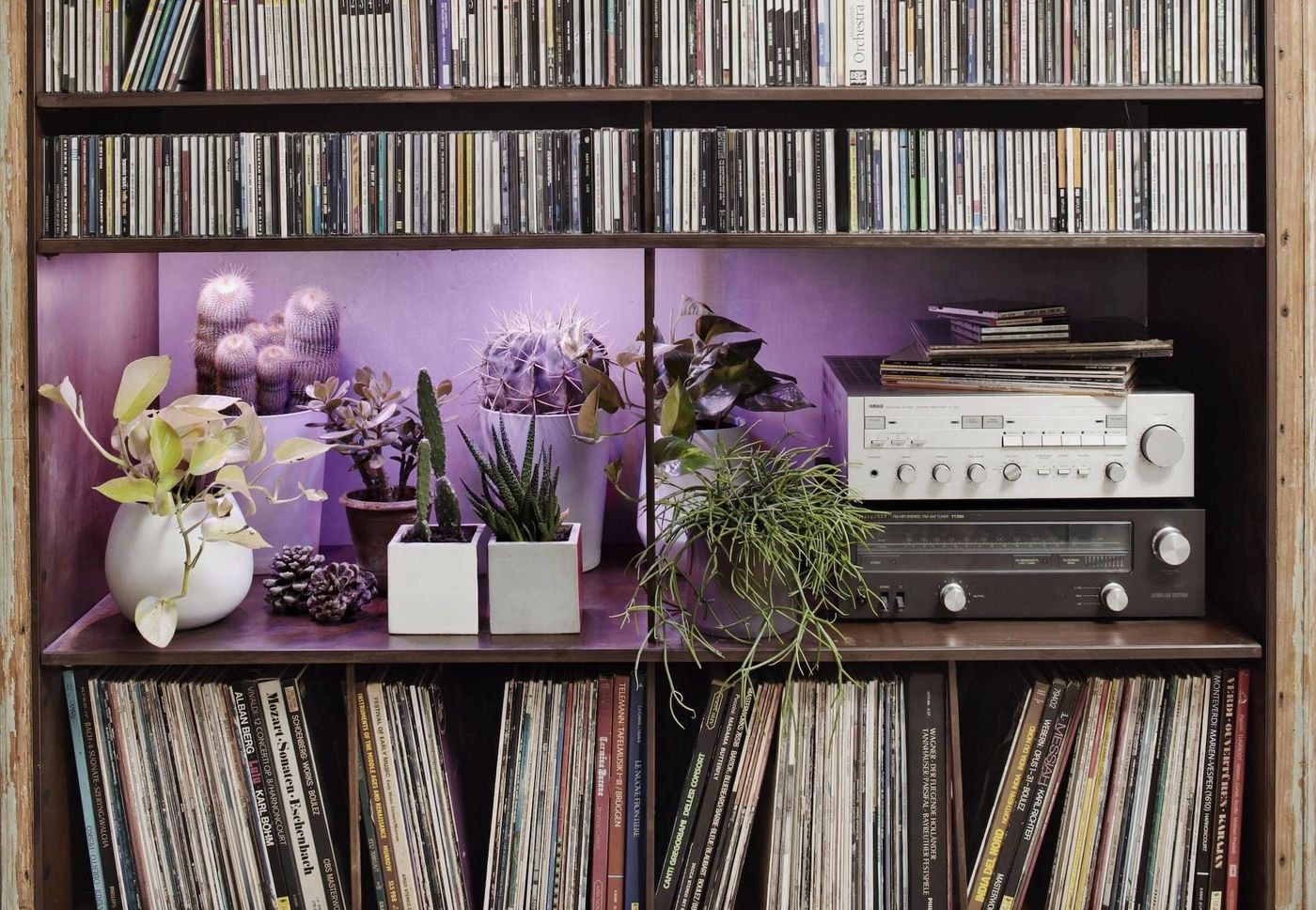 B&B Design - Italy - BOLOGNA - Sports and Entertainment - 7