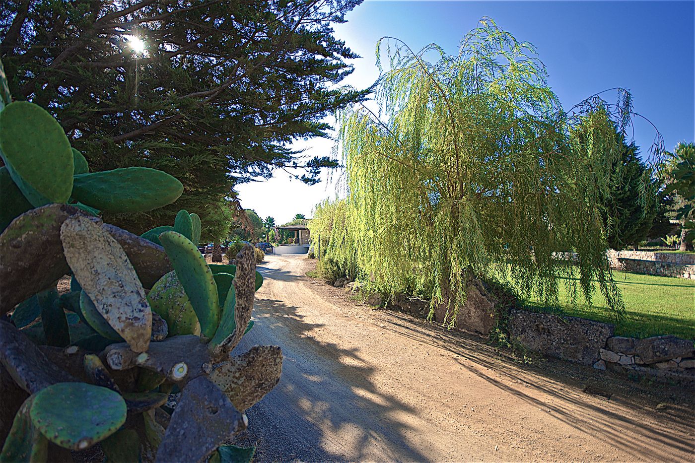 Hotel Resort Ristorante Masseria Le Pajare-Italy-PRESICCE-General view-5