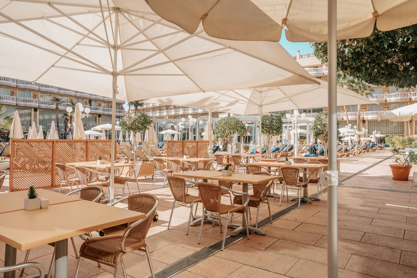 Cleopatra-Palace-Hotel-Bar-17