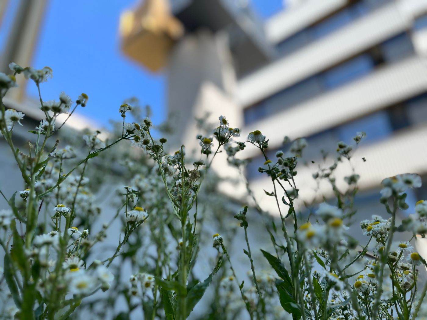 Post-120-Suites-General-view-15