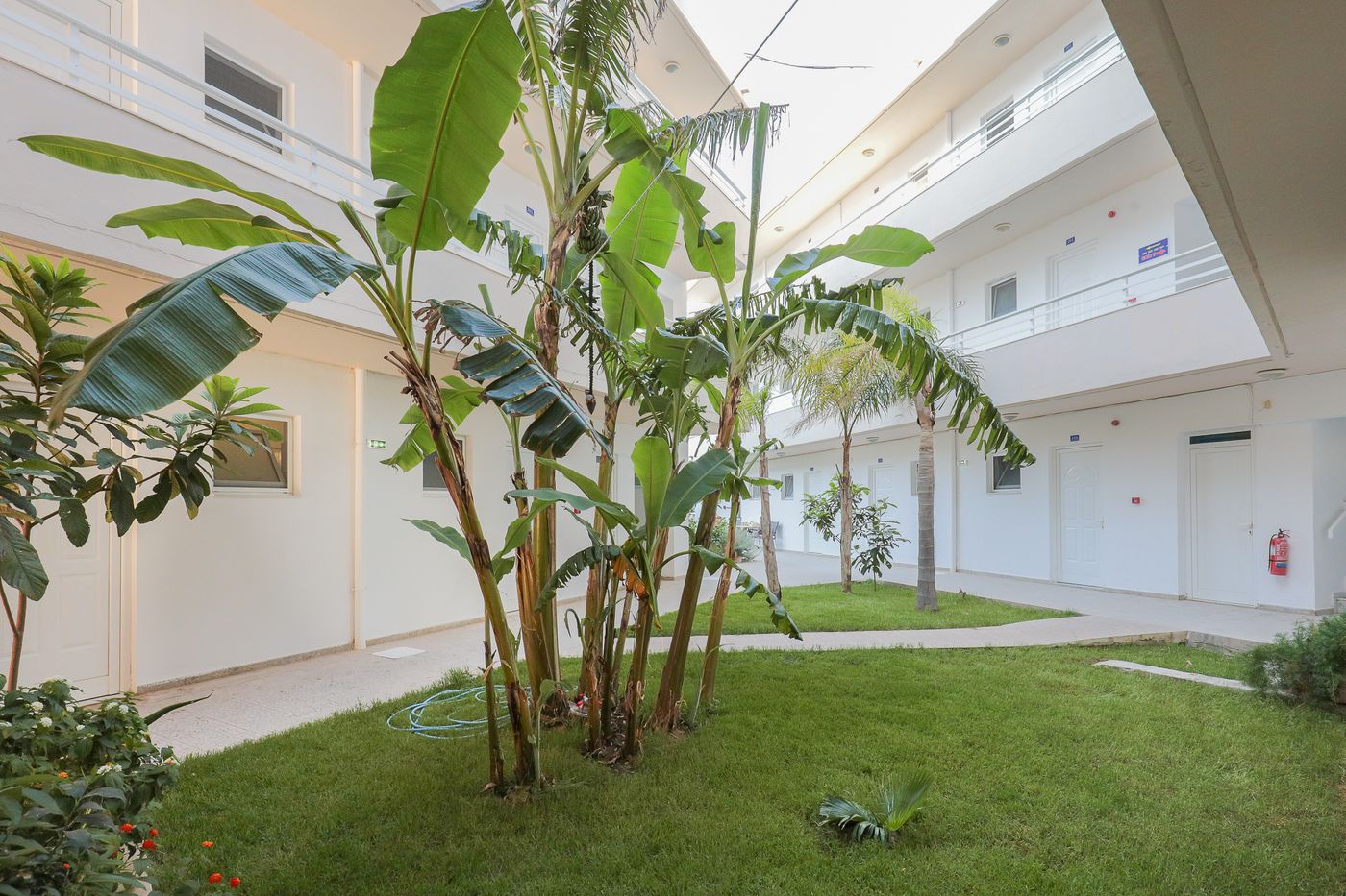 Faliraki-Dream-Studios---Apts-Terrace-34