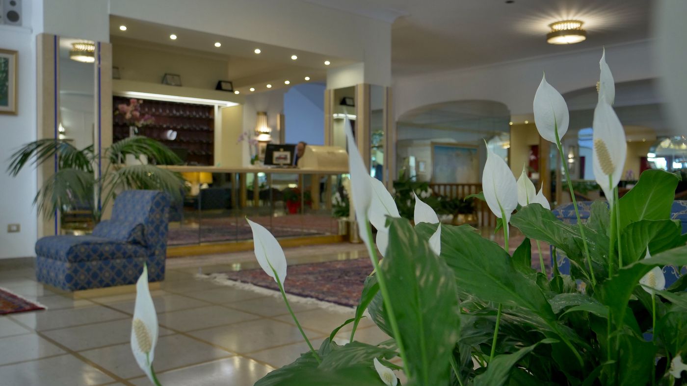 Hotel 501-Italy-Vibo Valentia-Lobby-2