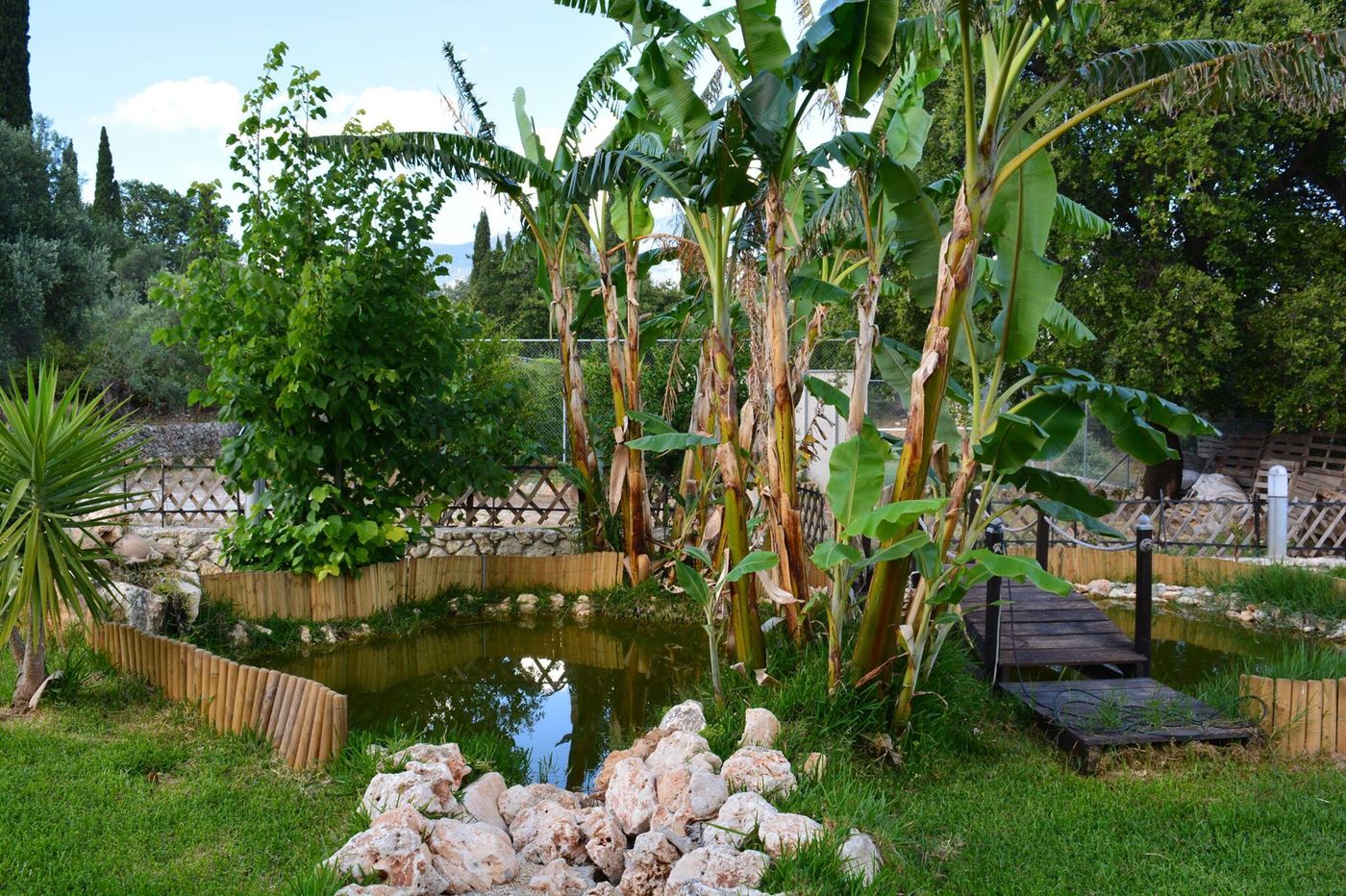 Hotel-Sunrise-Inn-Sports-and-Entertainment-14