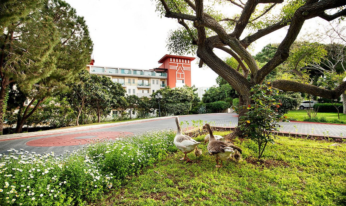 Belconti-Resort-Hotel-Terrace-11