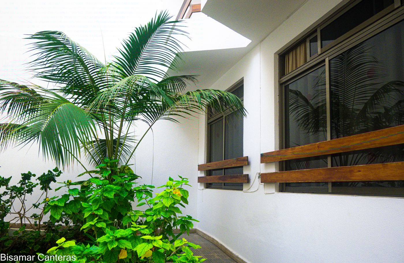 Brisamar-Canteras-Room-5