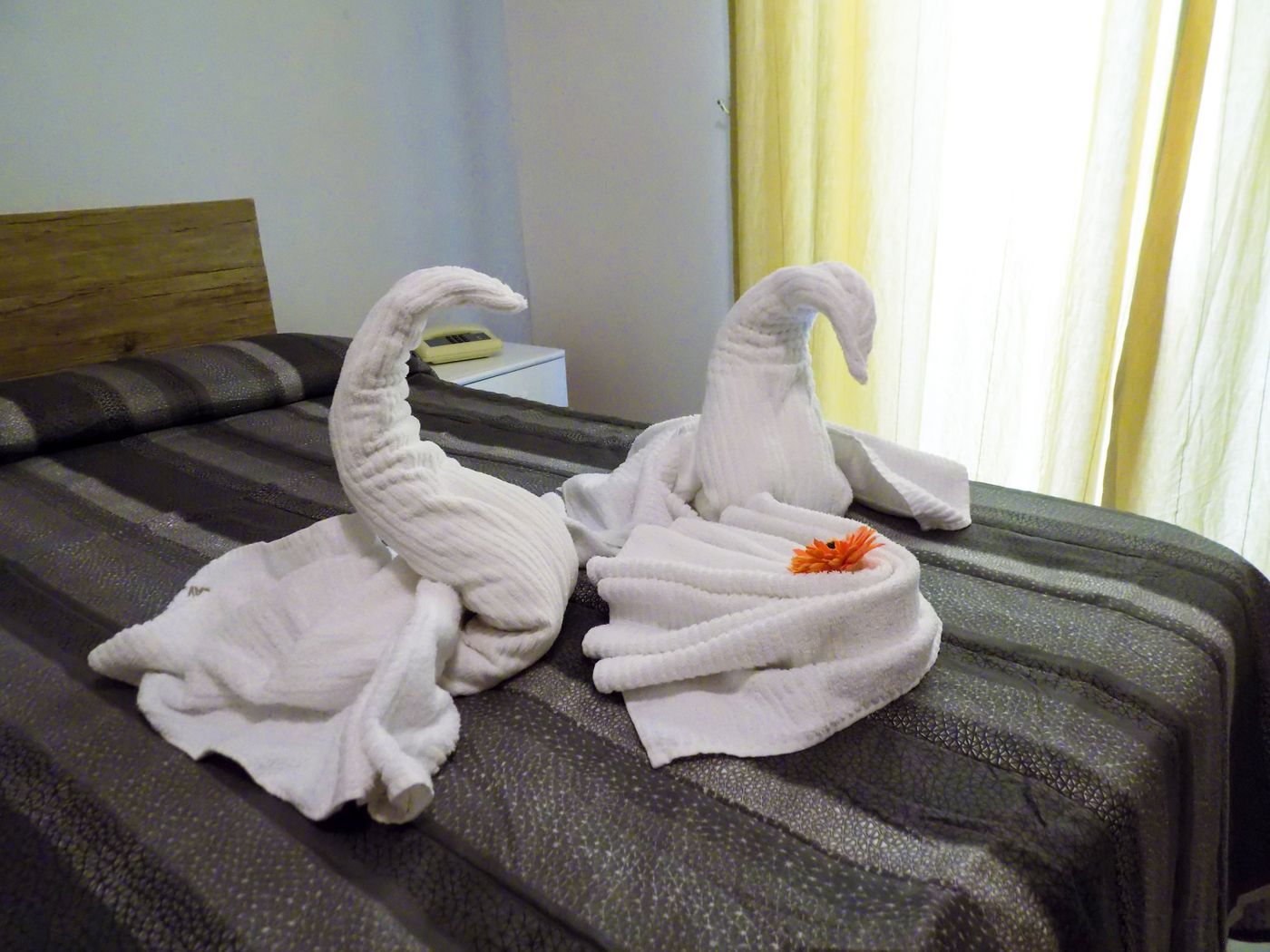 Hotel Le Orchidee - Italy - NAPOLI - Room - 1