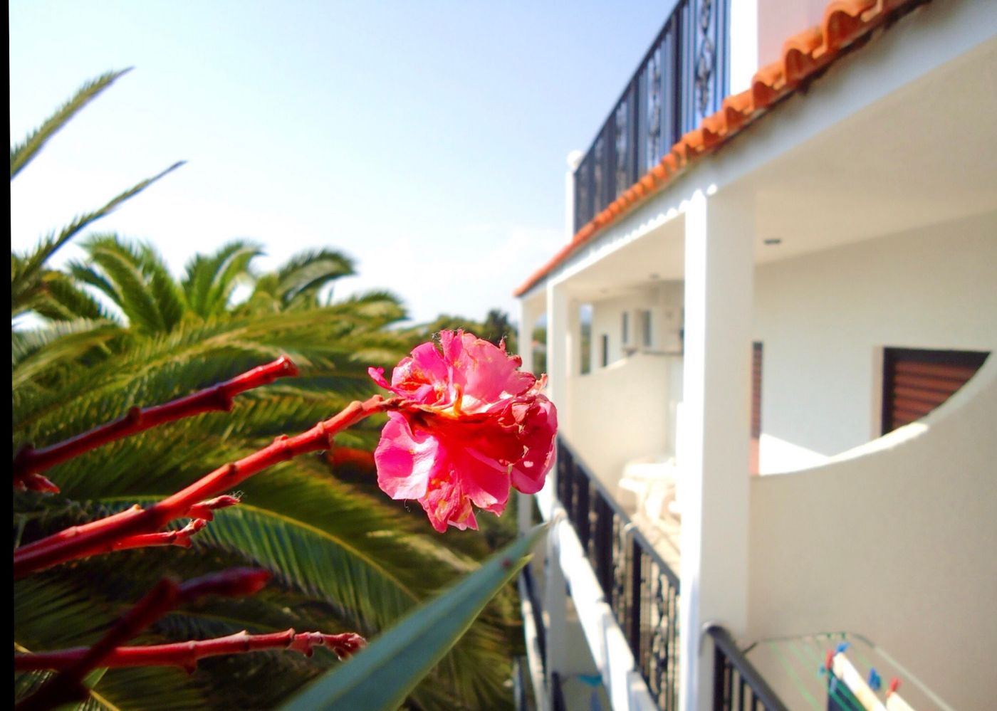 Bruskos-Hotel-and-Suites-Terrace-18