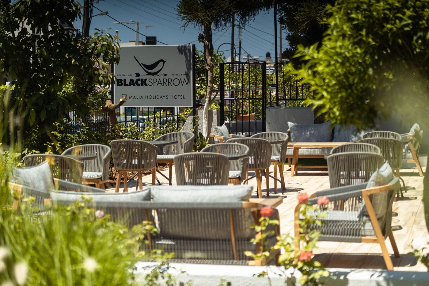 Malia-Holidays-Terrace-21