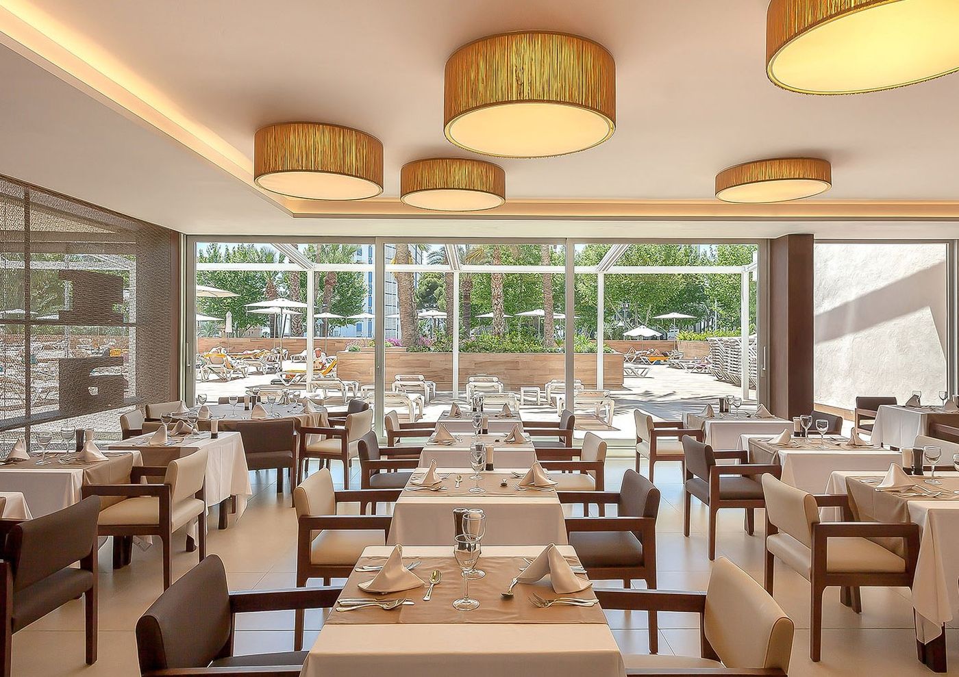 Don Pancho - Adults Only (14+)