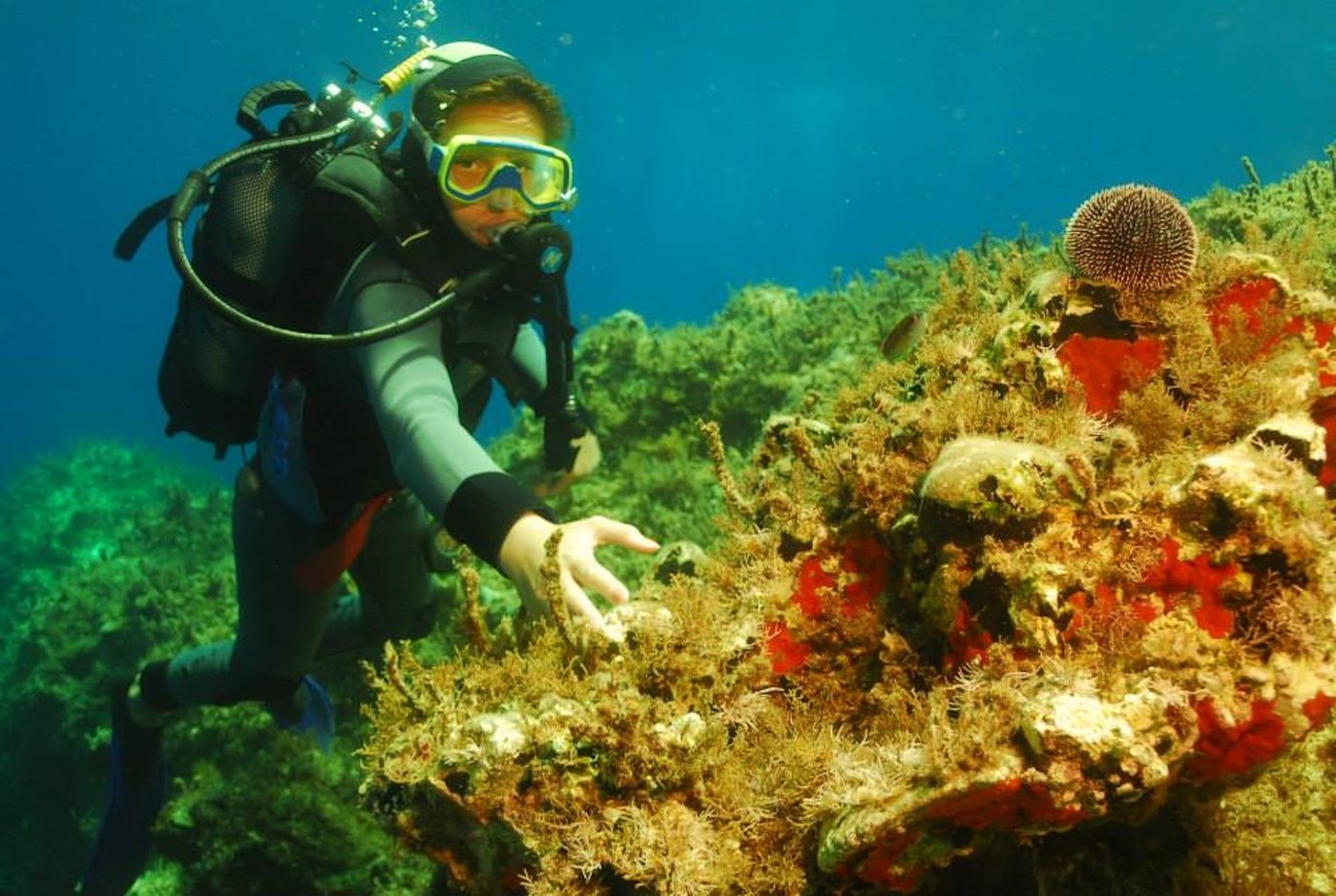 Kalypso-Cretan-Village-Room-69