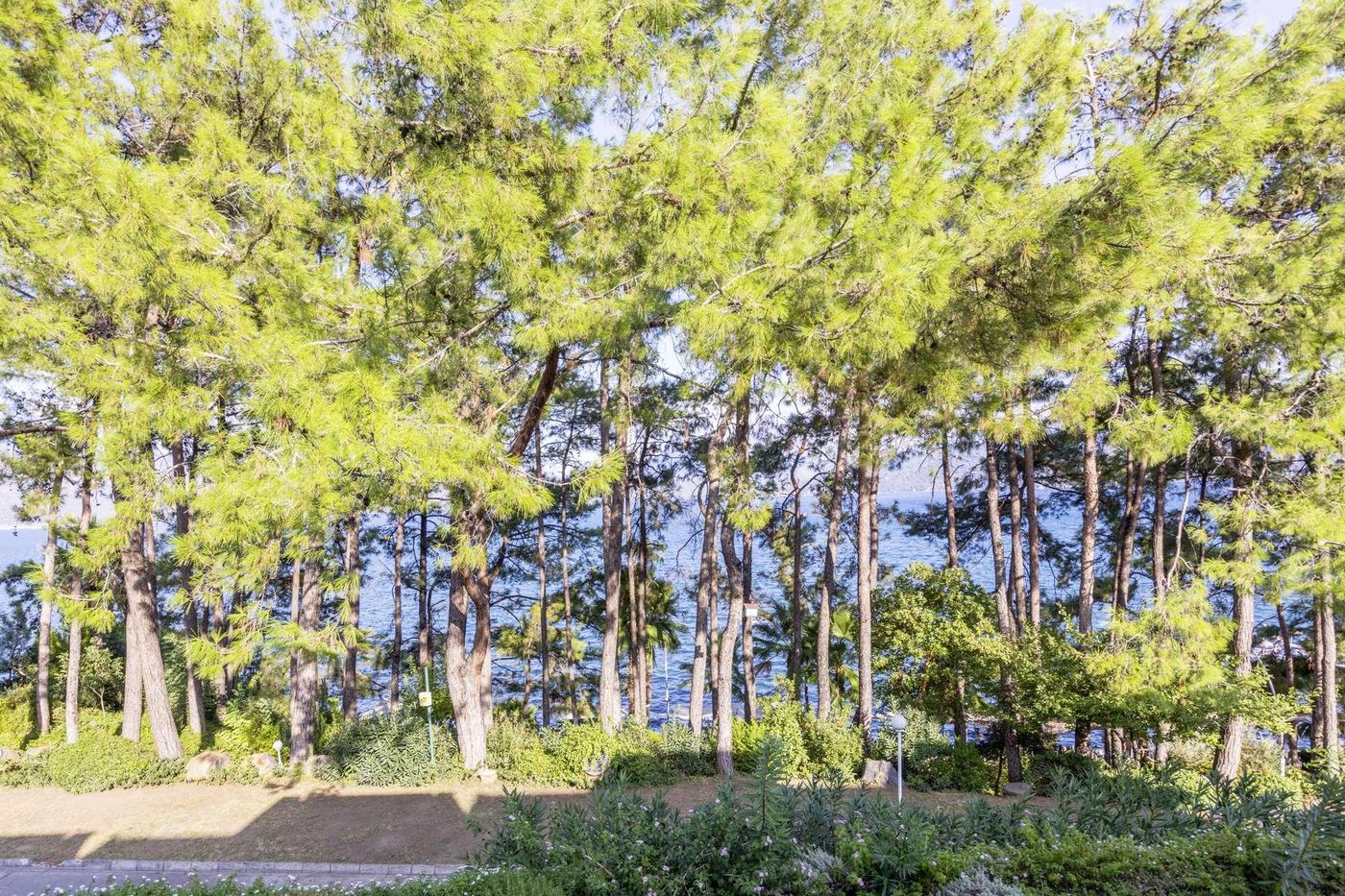 Labranda-Mares-Marmaris-Room-84