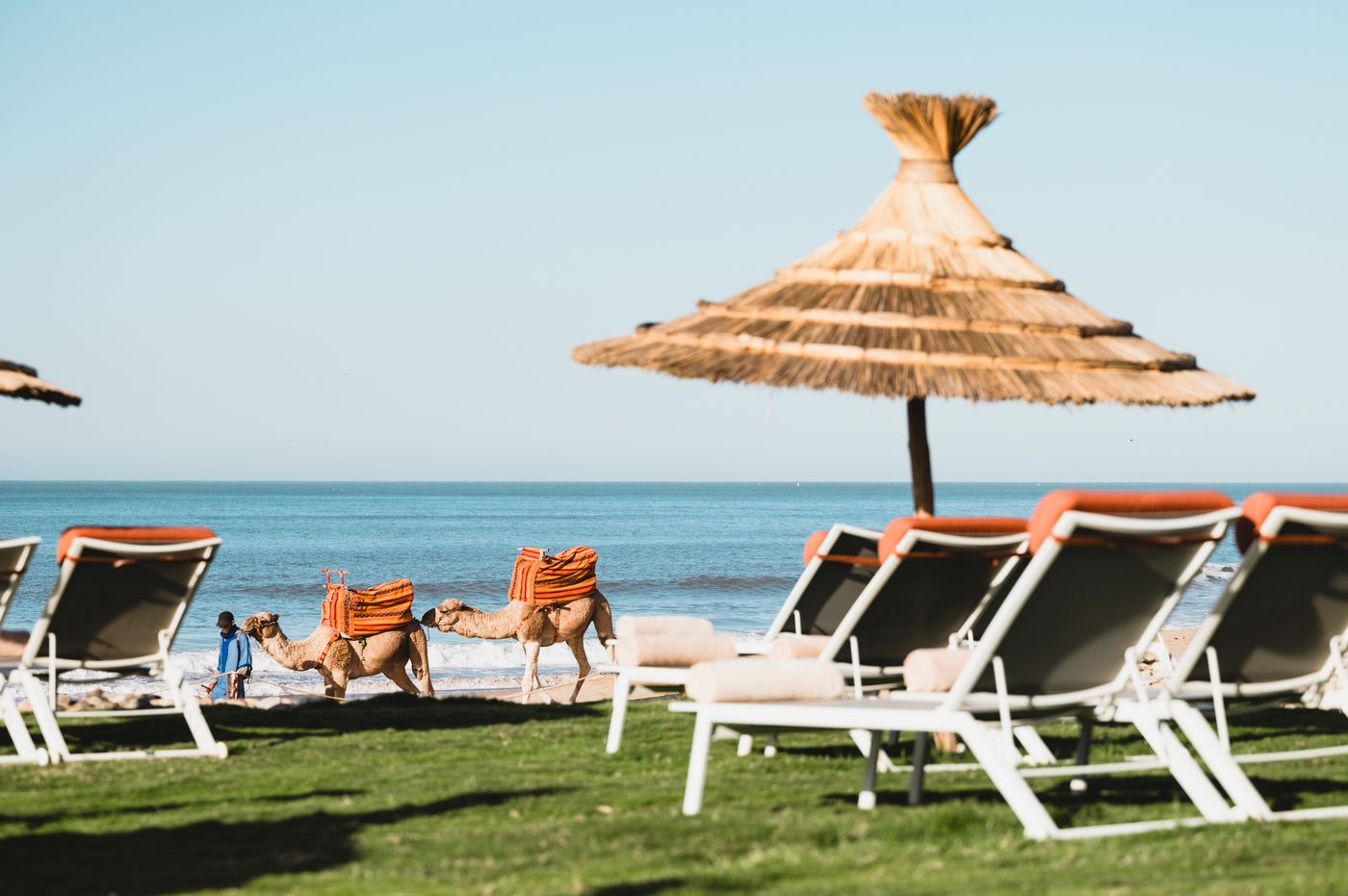 Paradis Plage Surf and Spa