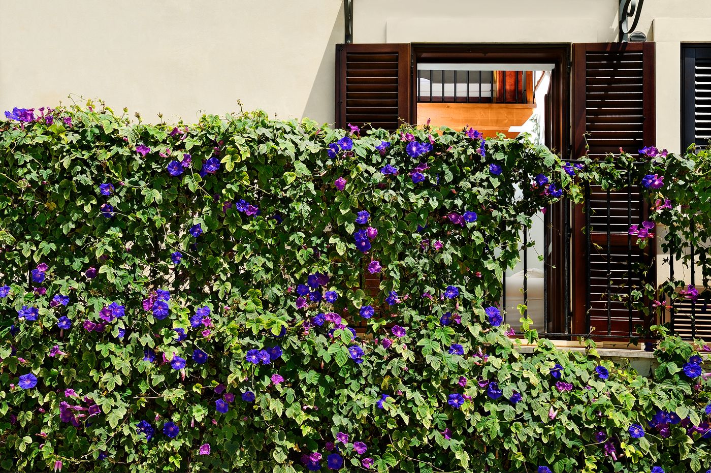 Kallikoros-Hotel-Spa-and-Resort-Lobby-20