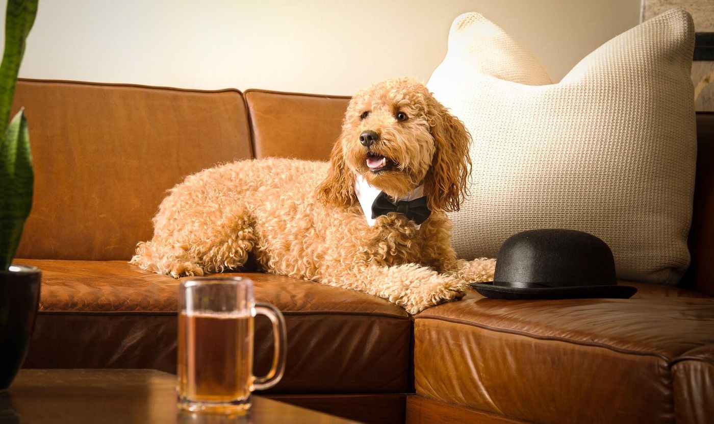 Noelle-United States-Nashville-General view-6