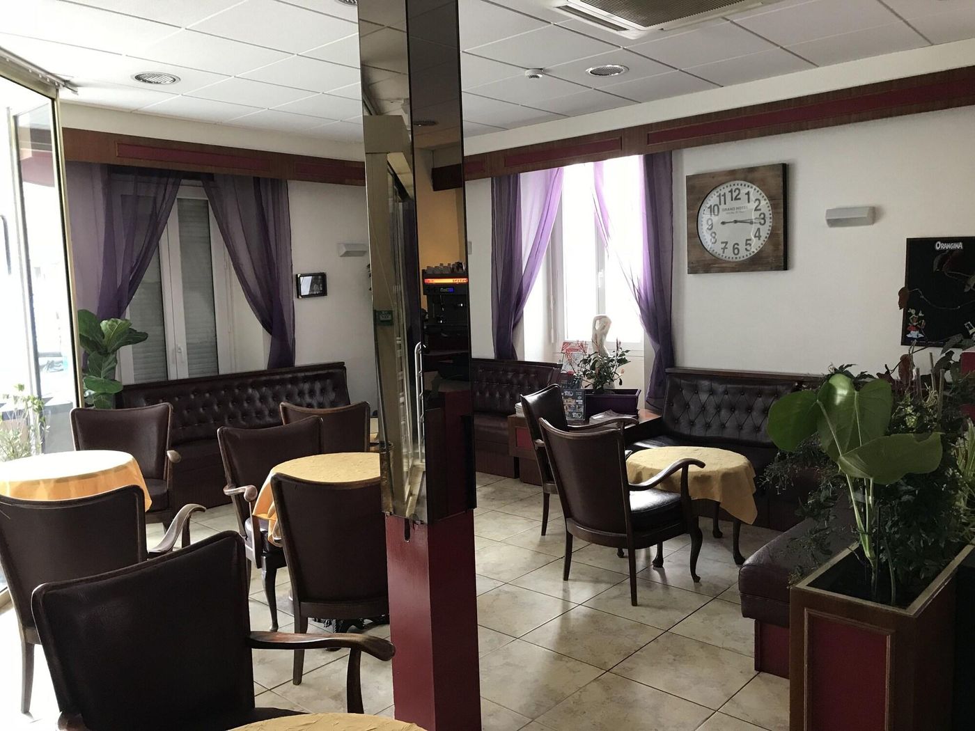 Myosotis-France-LOURDES -Lobby-1