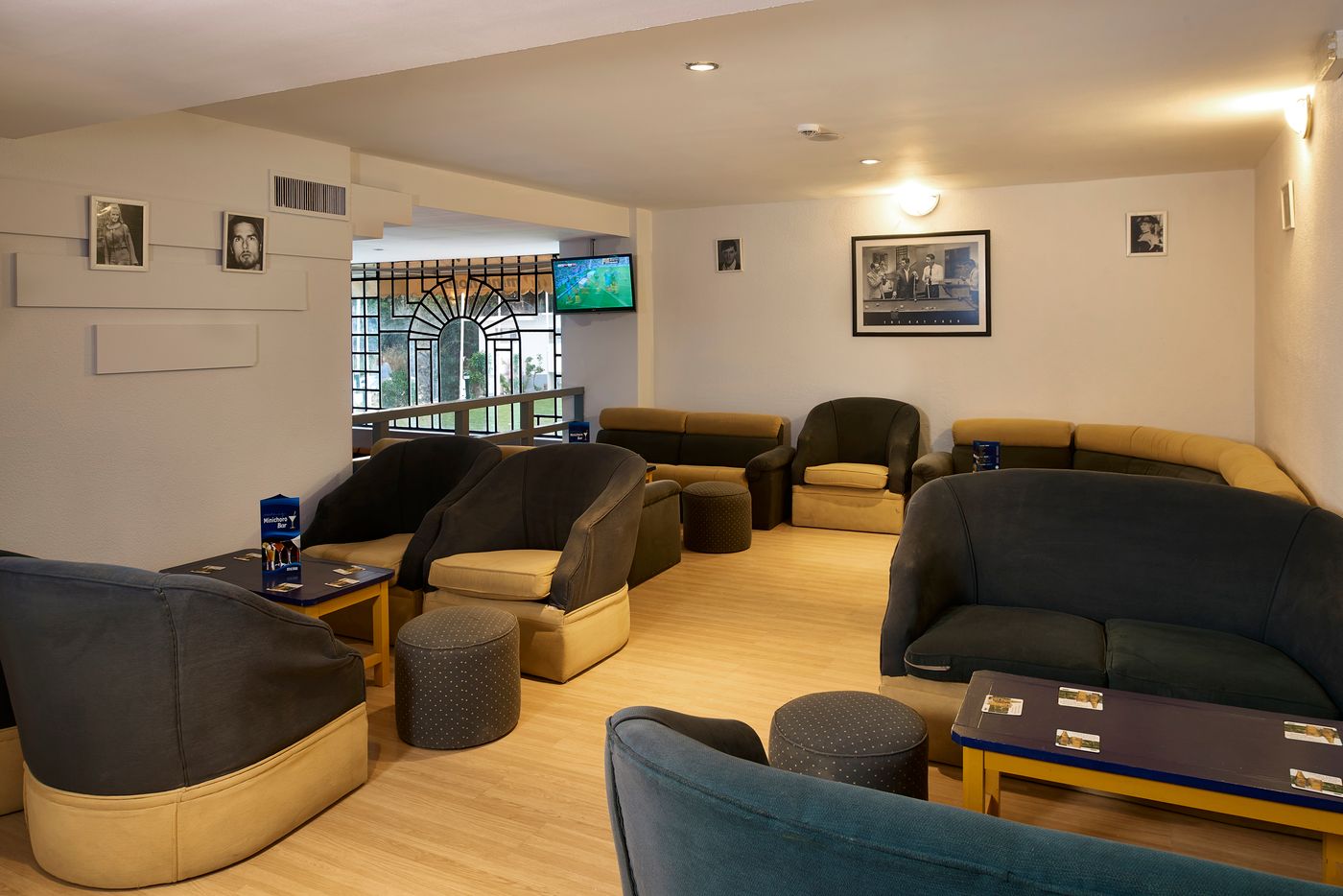 Cheerfulway Minichoro