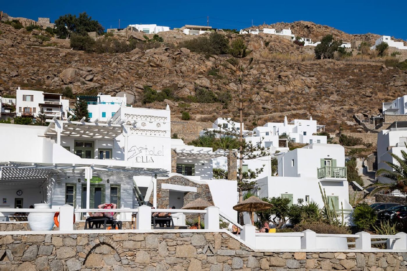 Olia-General-view-24