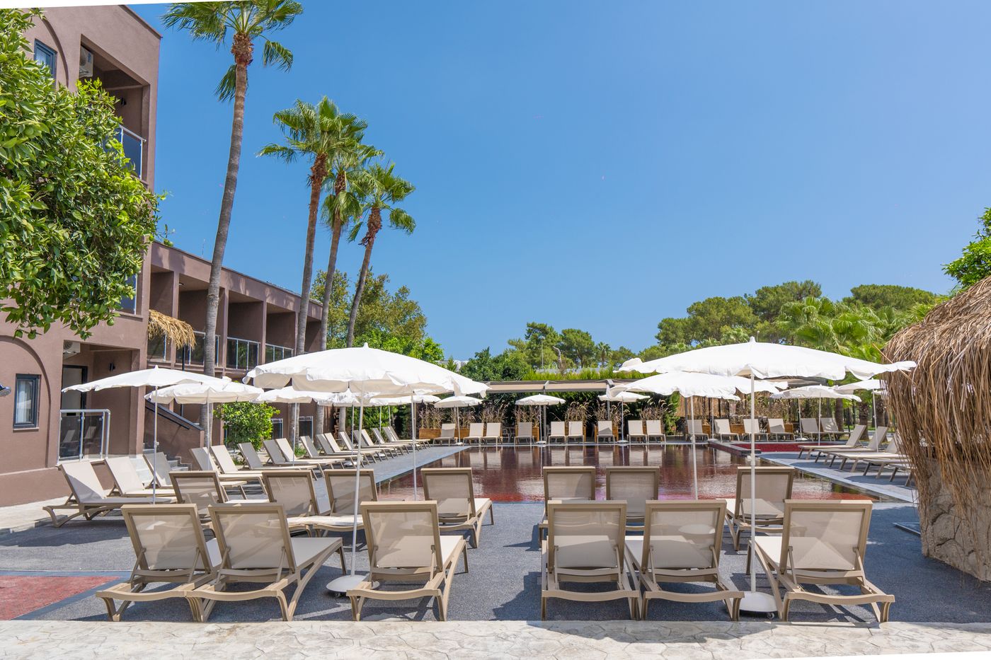 Golden Sun Mesolithic