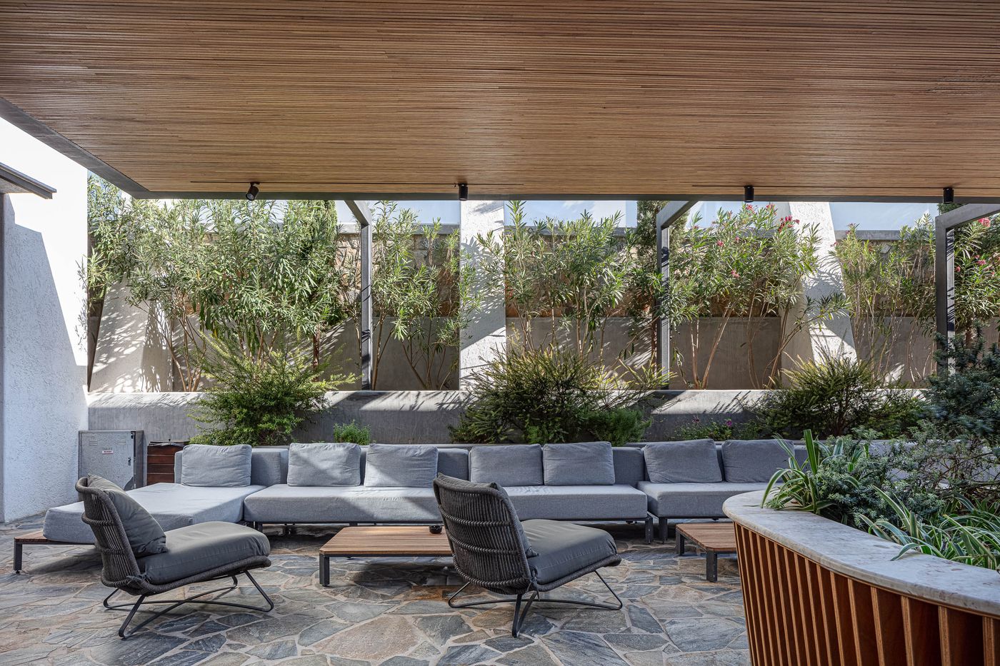 Petra-Mare-Hotel-Bar-69