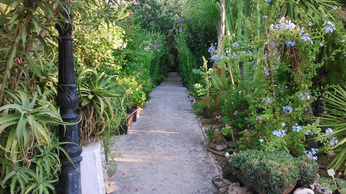 Baha-Ammes-General-view-11