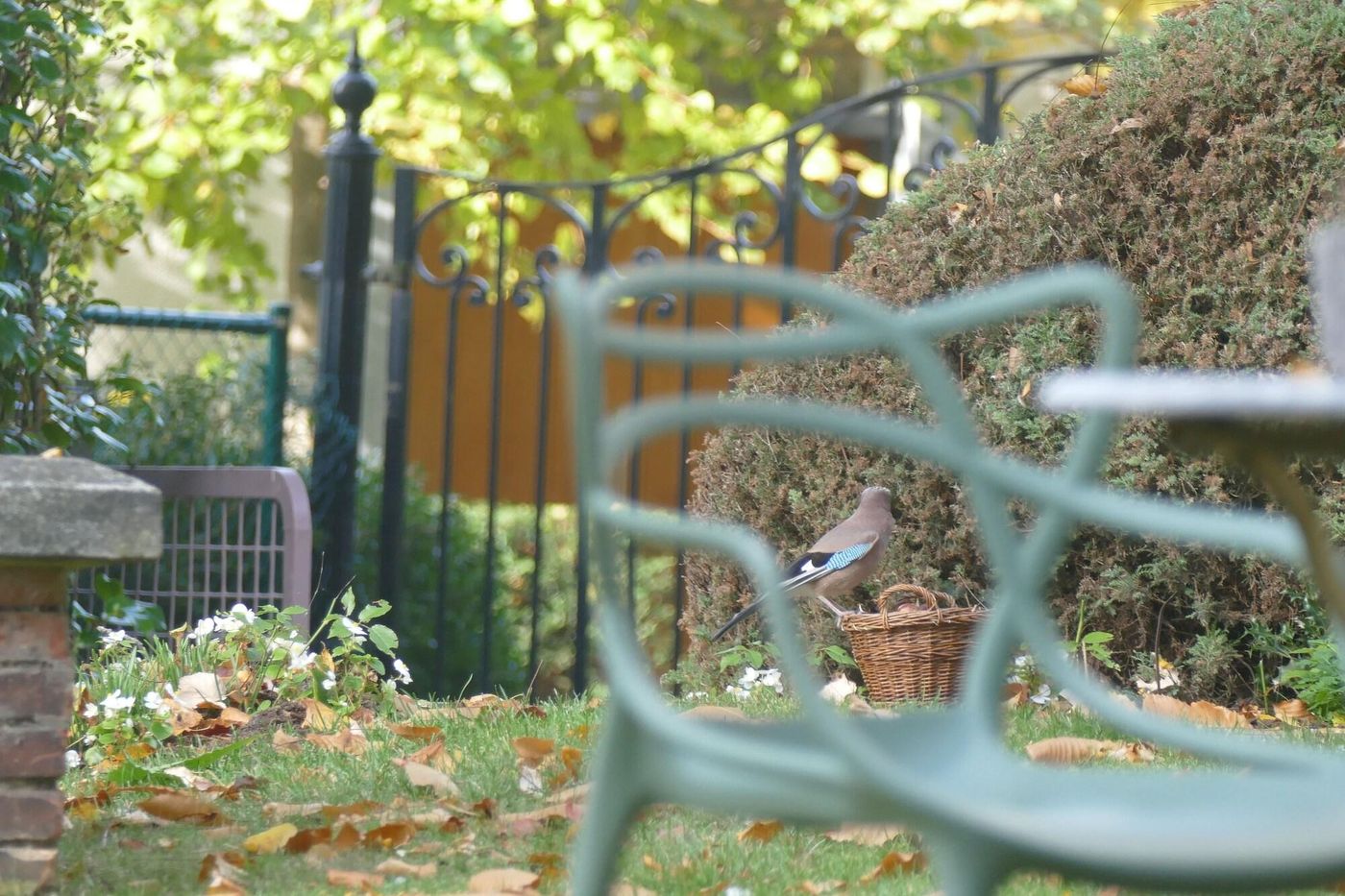 B&B Villa Emma-Belgium-GHENT-General view-7