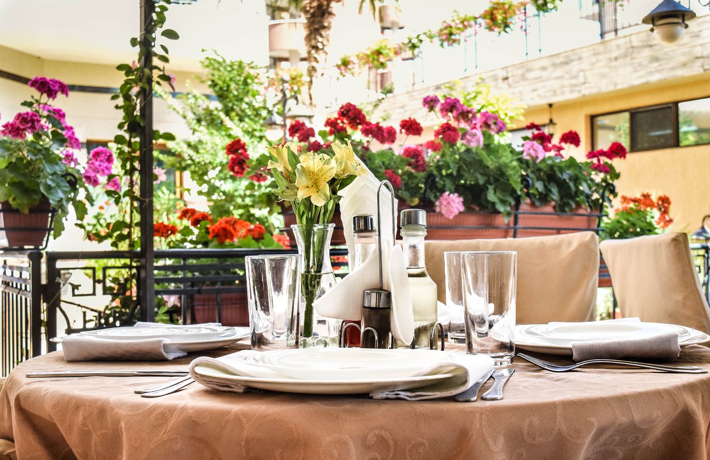 Karolina-Restaurant-8