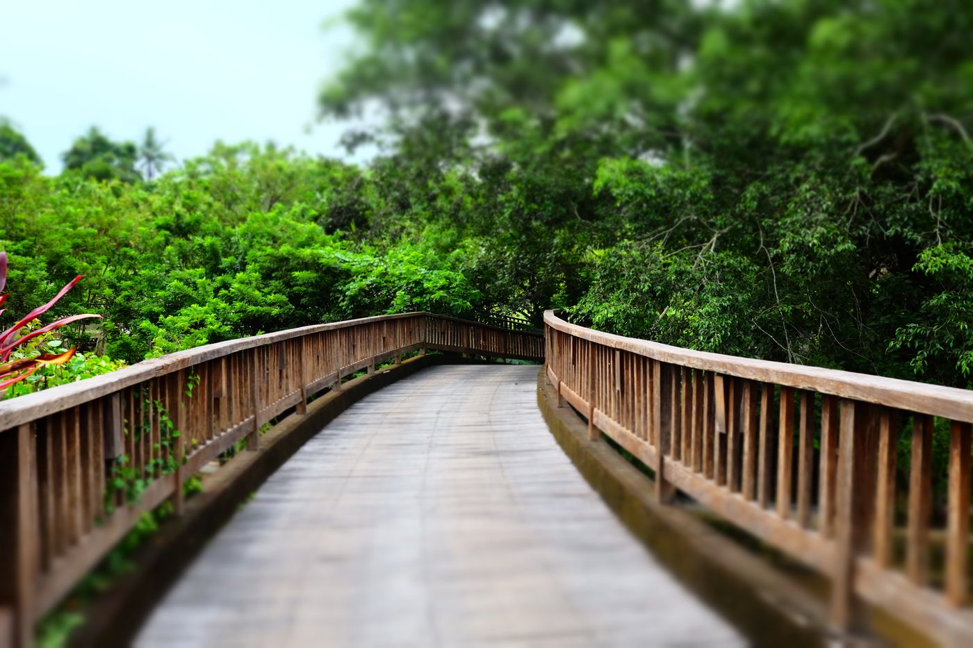The Sanctoo Villas & Spa-Indonesia-Bali-General view-4